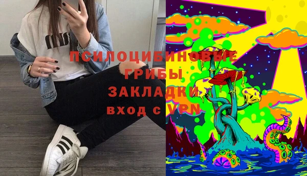 герыч Арсеньев