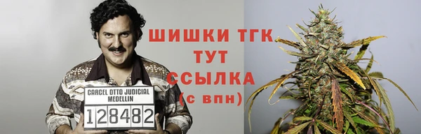 сатива Армянск