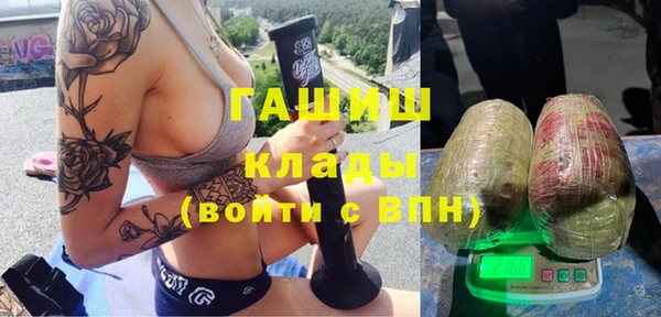 сатива Армянск