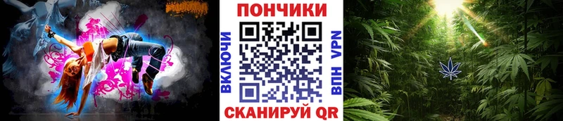 Канабис семена  Валдай 